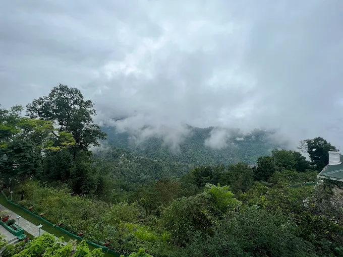 Golden Triangle With Tea Tour