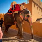 Rajasthan Tour Packages