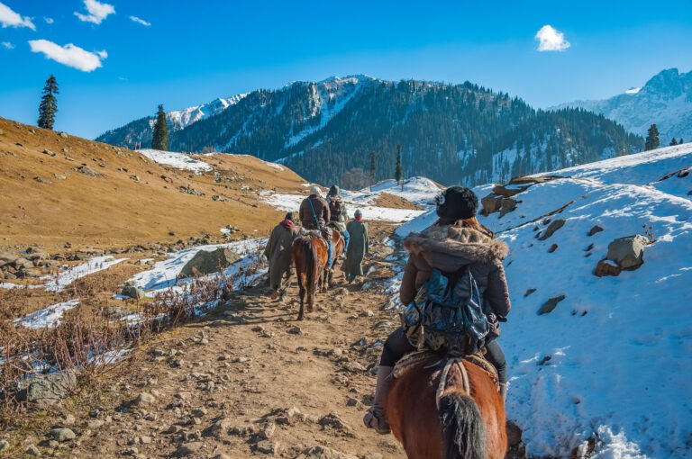 Kashmir With Ladakh Tour
