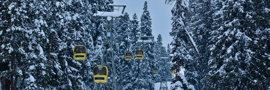 Kashmir Honeymoon Packages