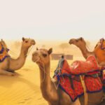 Jaisalmer