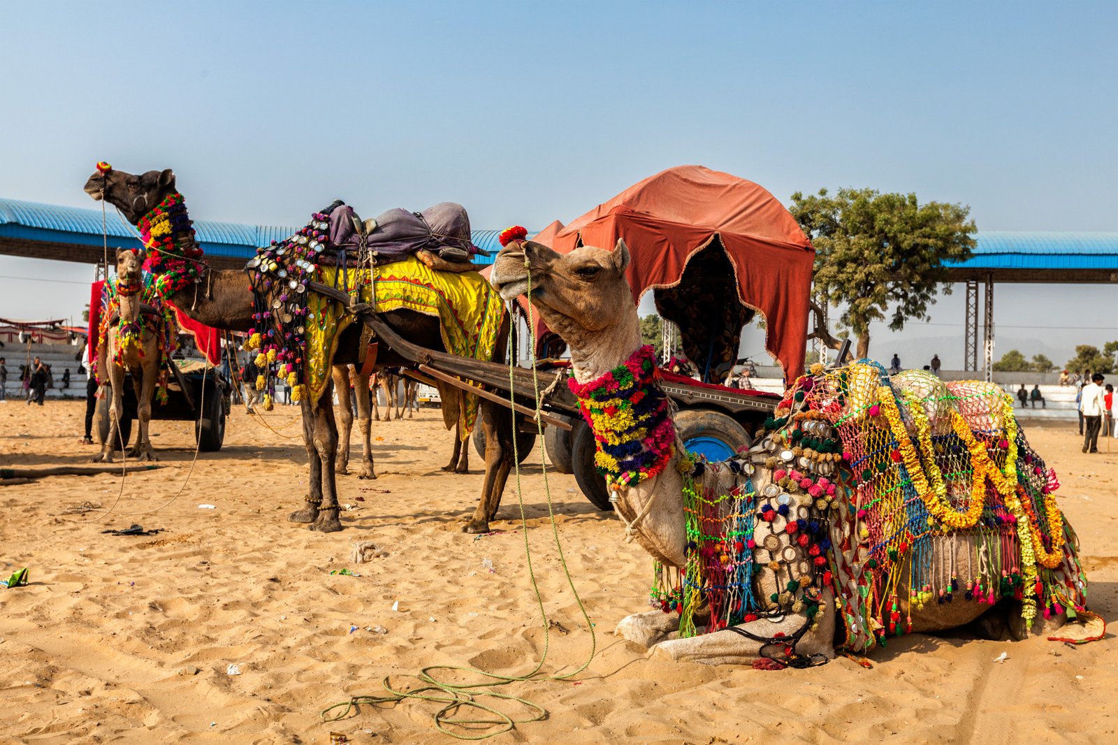 Rajasthan Pushkar Tour