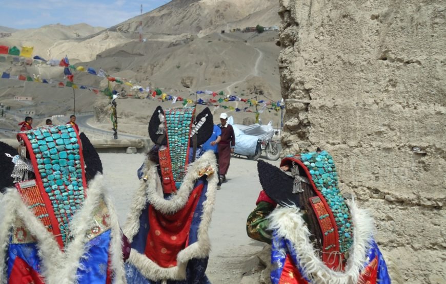 Delightful Ladakh